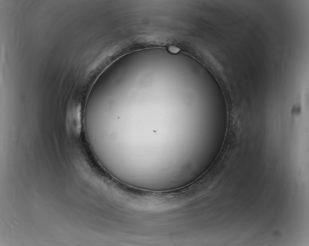 X0000116820020200912181418