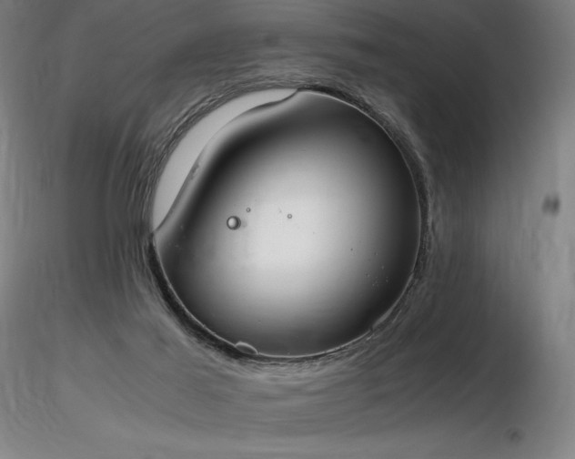 X0000116820021200912181418