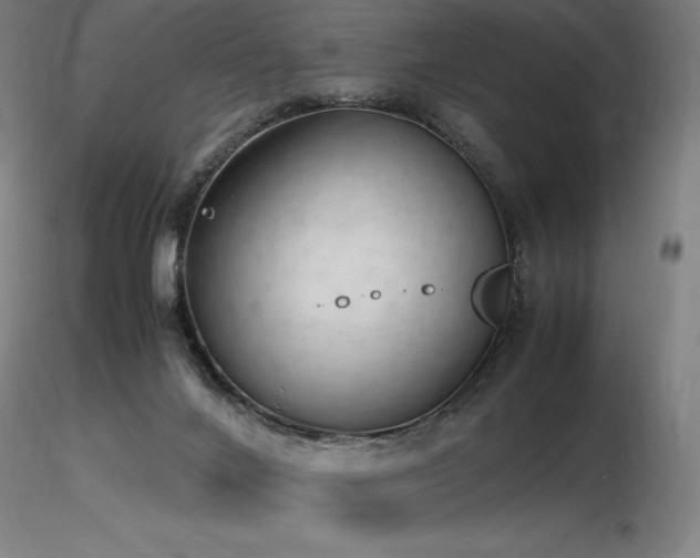 X0000116820024200912181418