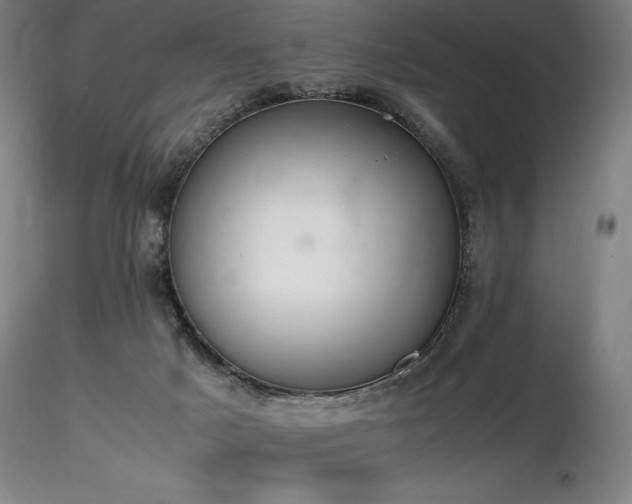 X0000116820025200912181418