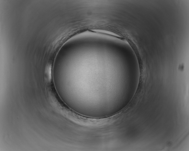 X0000116820027200912181418