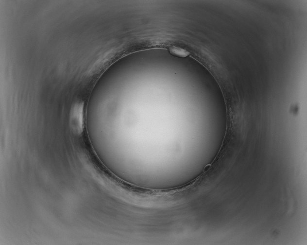 X0000116820028200912181418