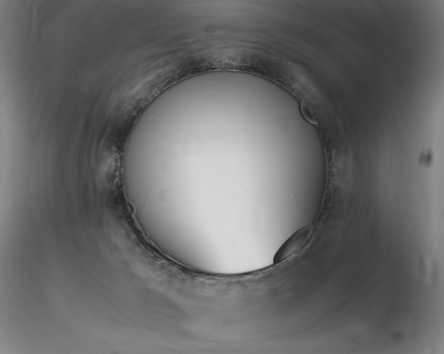 X0000116820029200912181418