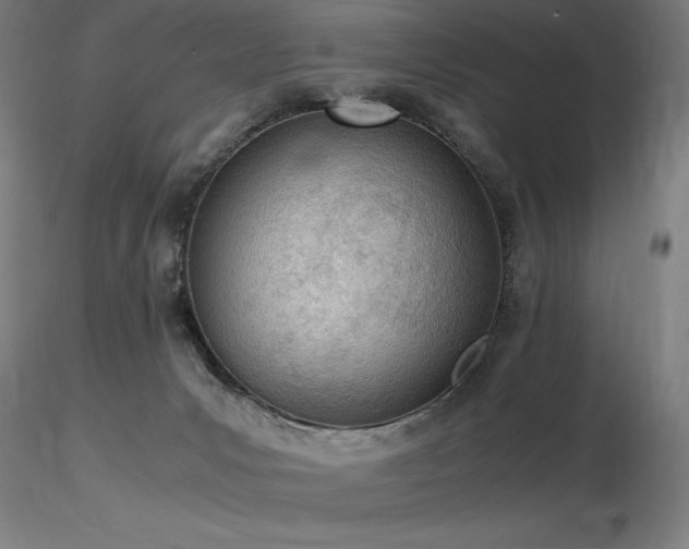 X0000116820031200912181418