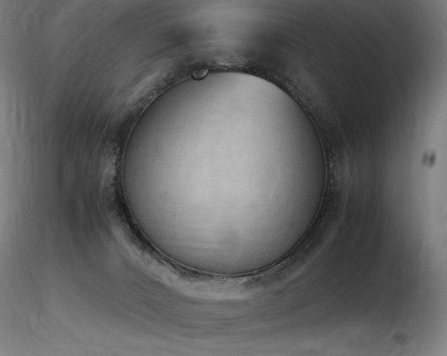 X0000116820032200912181418