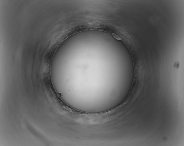 X0000116820033200912181418