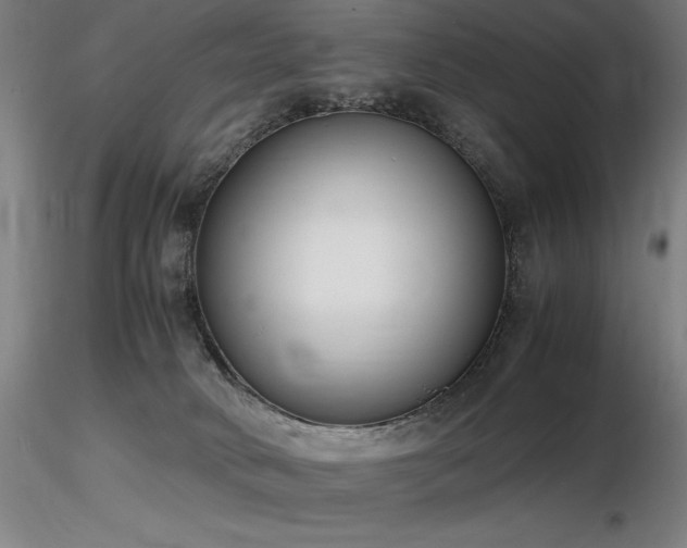 X0000116820034200912181418