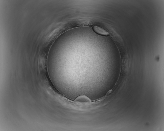 X0000116820035200912181418