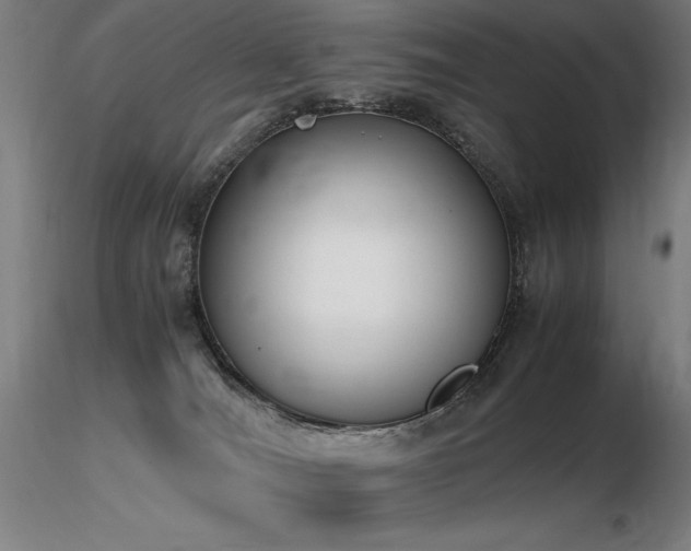 X0000116820036200912181418