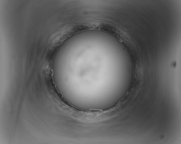 X0000116820037200912181418