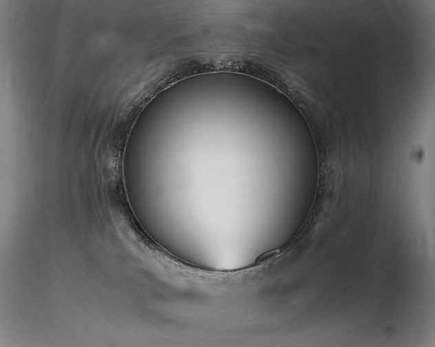 X0000116820039200912181418