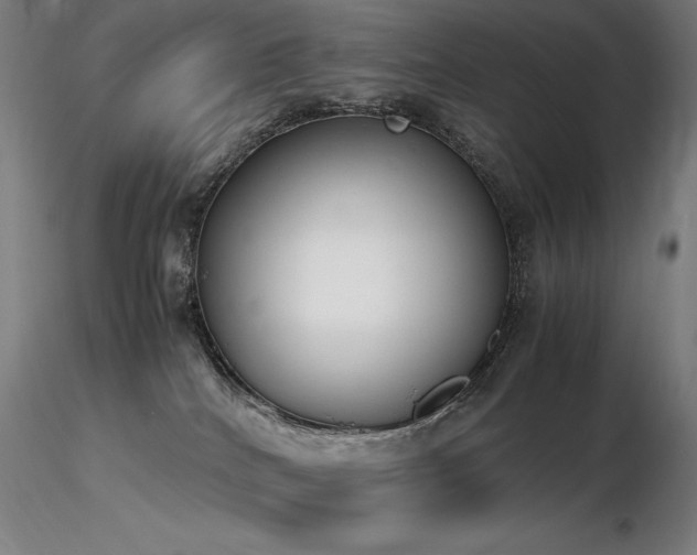 X0000116820040200912181418