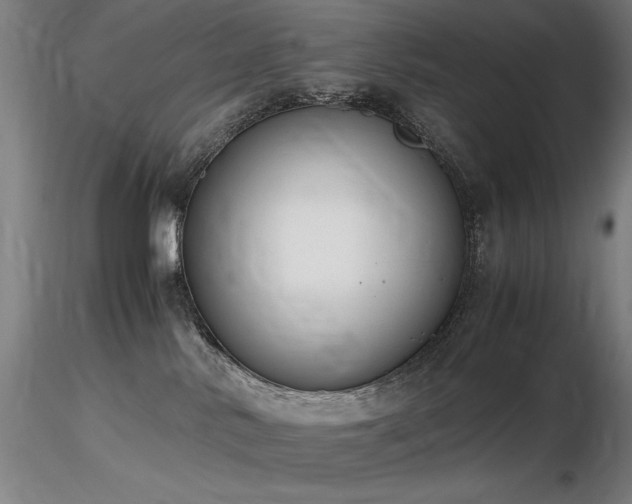 X0000116820042200912181418