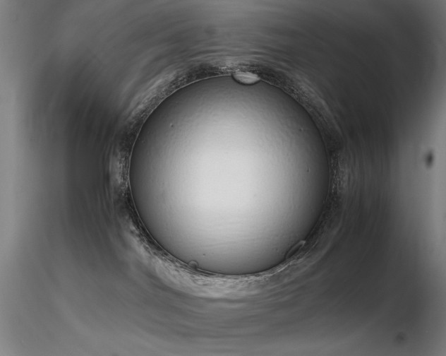 X0000116820044200912181418