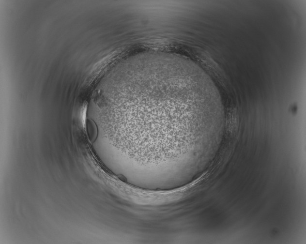 X0000116820047200912181418