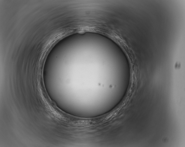 X0000116820049200912181417