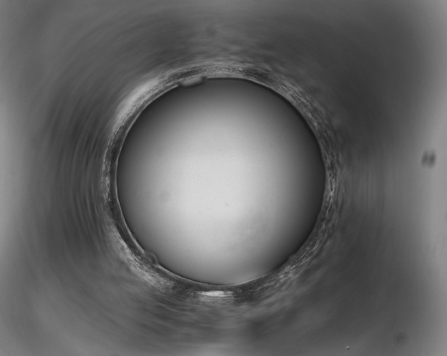 X0000116820053200912181417