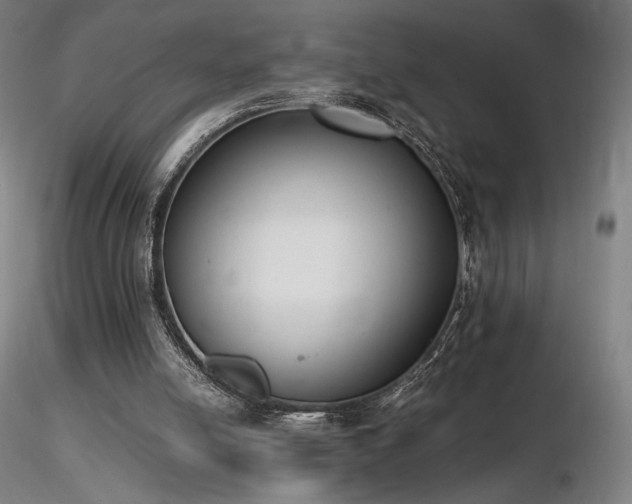 X0000116820054200912181417