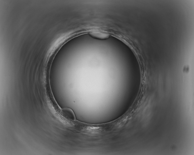 X0000116820055200912181418