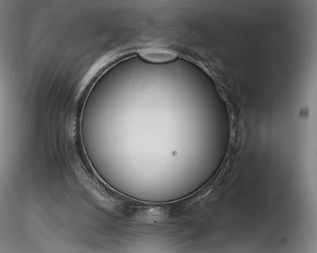 X0000116820056200912181418