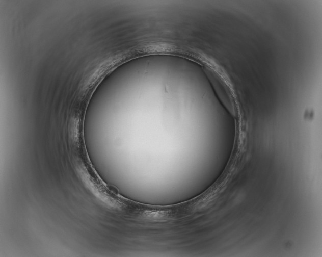 X0000116820057200912181418