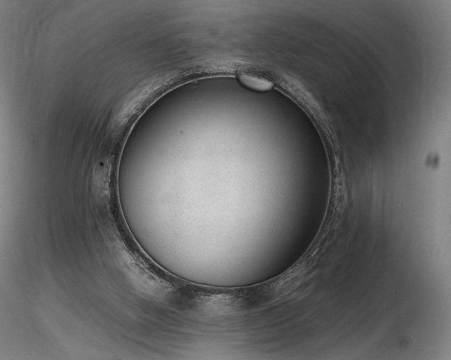 X0000116820058200912181418