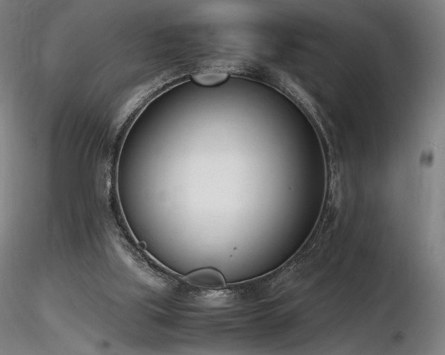 X0000116820059200912181418