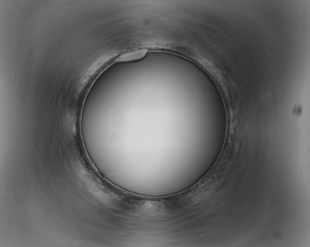 X0000116820060200912181418