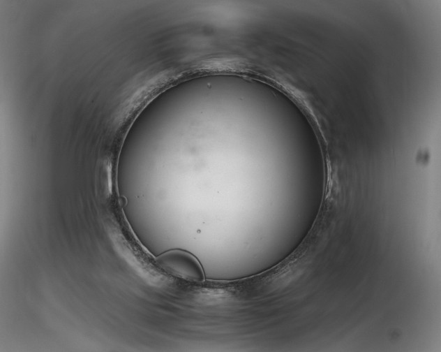 X0000116820061200912181418