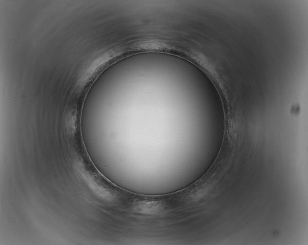 X0000116820063200912181418