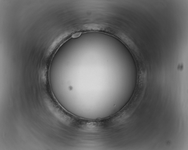 X0000116820064200912181418