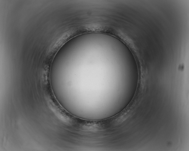 X0000116820065200912181418