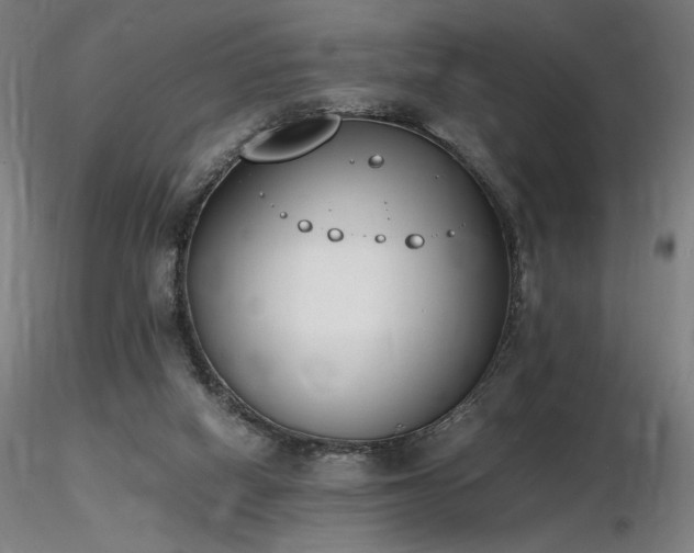 X0000116820066200912181418