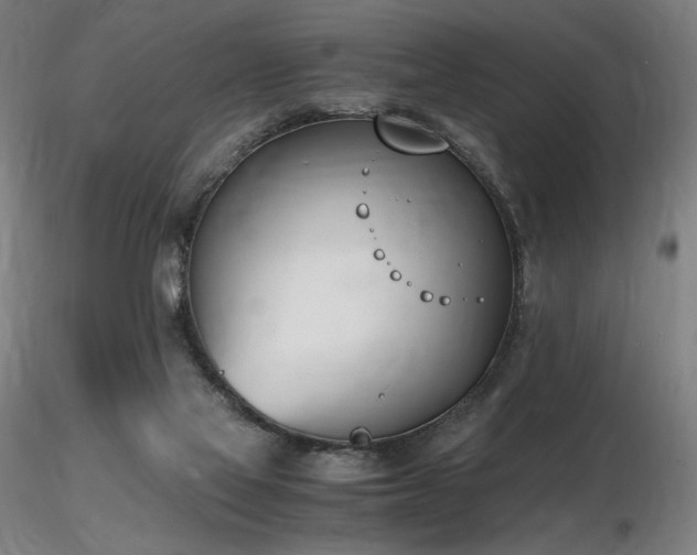 X0000116820069200912181418