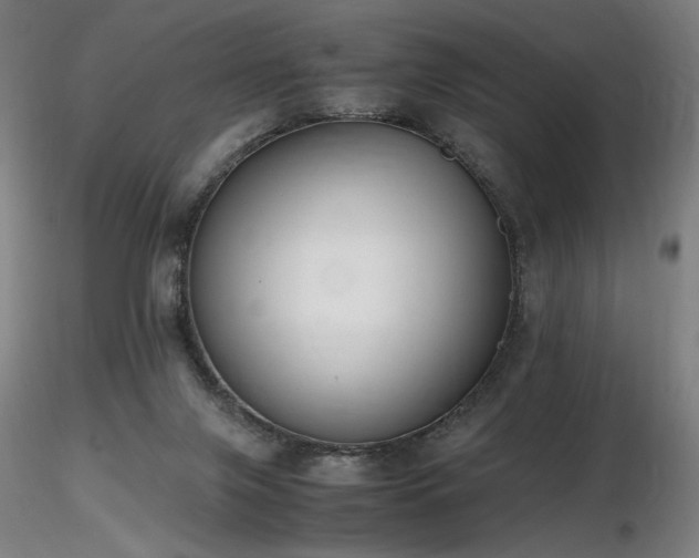 X0000116820071200912181418