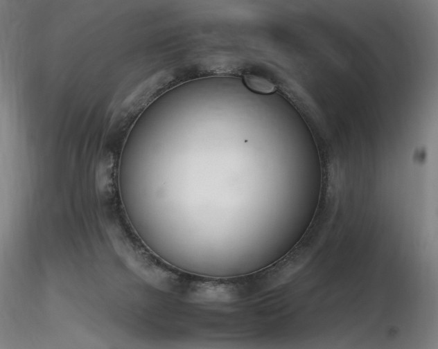 X0000116820073200912181418