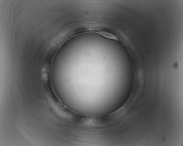 X0000116820074200912181418