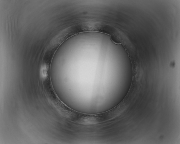 X0000116820075200912181418