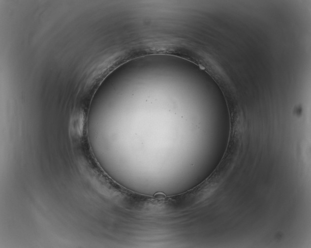 X0000116820076200912181418