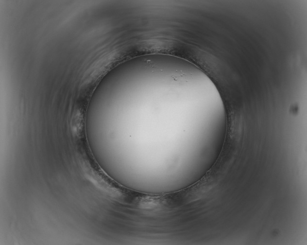 X0000116820077200912181418