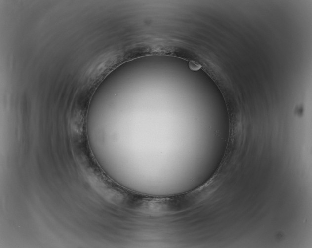 X0000116820078200912181418