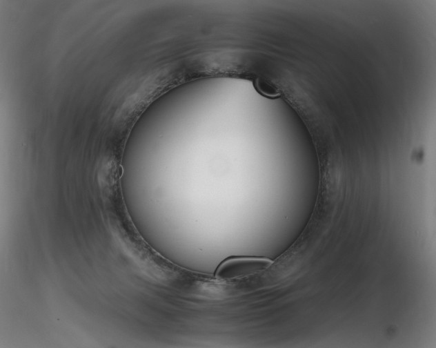 X0000116820079200912181418