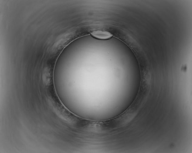 X0000116820080200912181418