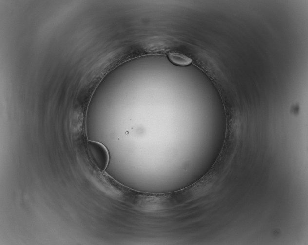 X0000116820081200912181418