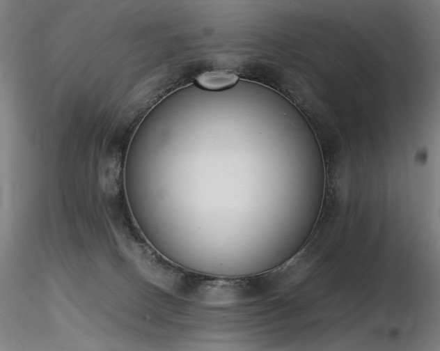 X0000116820082200912181418