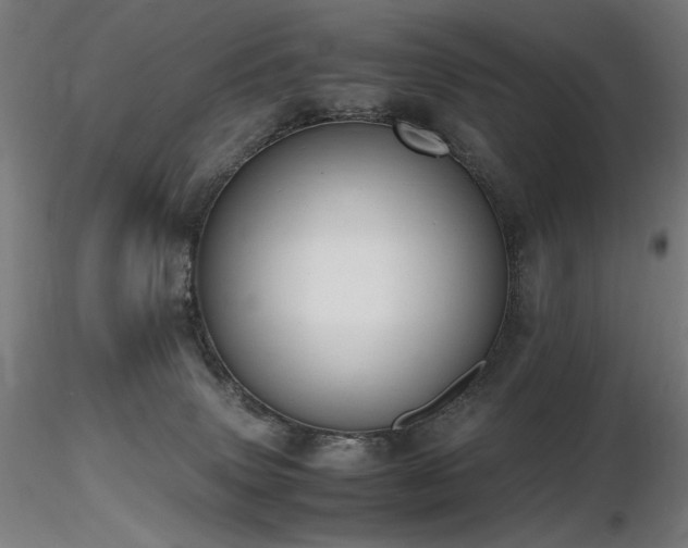 X0000116820083200912181418