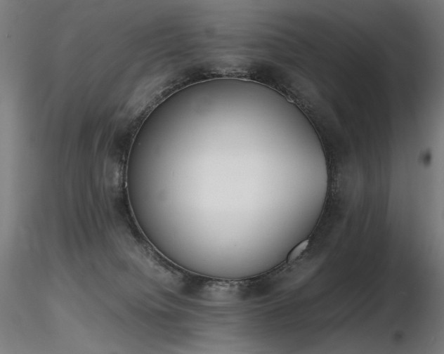 X0000116820084200912181418