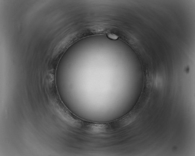 X0000116820085200912181418