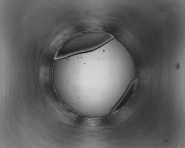 X0000116820088200912181418