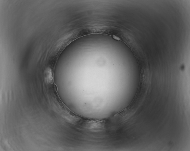 X0000116820089200912181418